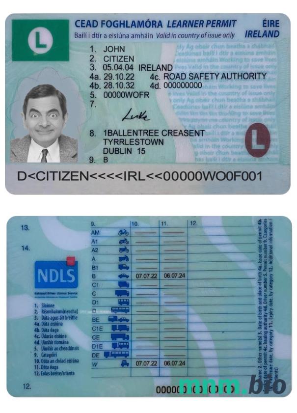 Ireland driving license (learner permit) 2022-obecnie ze wszystkimi czcionkami
